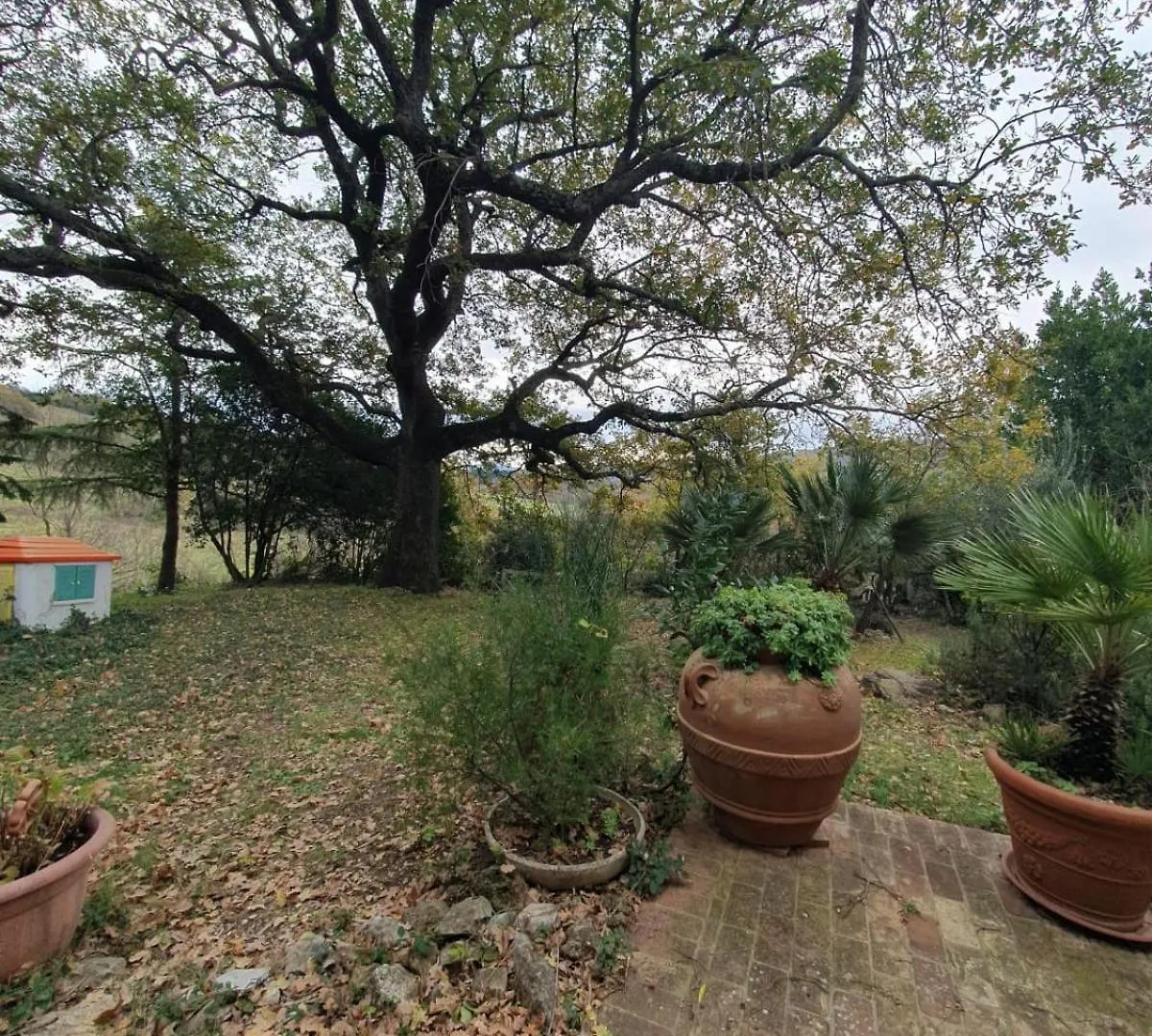 Holiday home Podere Montecrispini - Da Carlo Usi